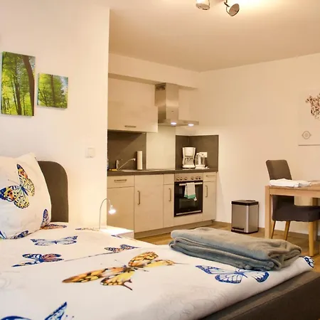 Herzog Wolfgang Studios- Zentral, Modern, Freundlich Zweibrücken Buitenkant foto