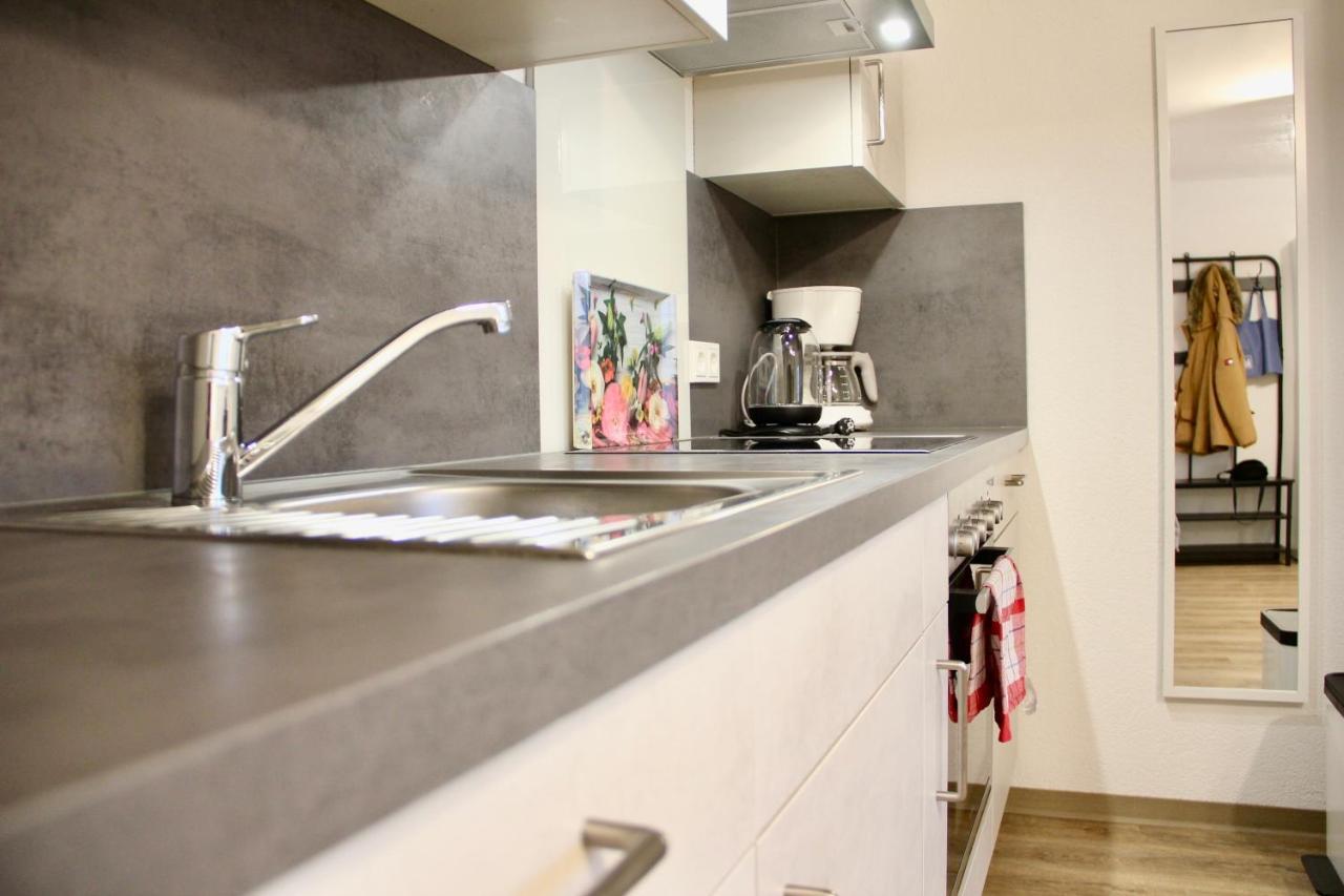 Herzog Wolfgang Studios- Zentral, Modern, Freundlich Apartment Zweibruecken